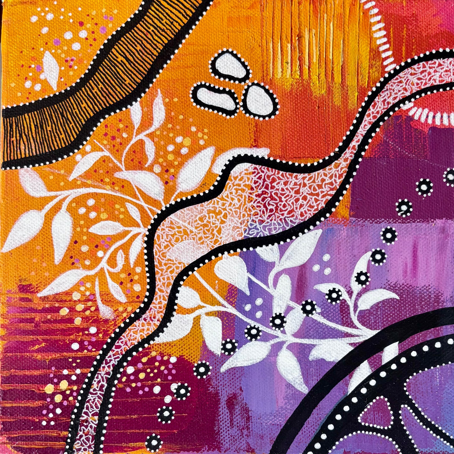 The Spectrum of Joy (Series 1- 16)
